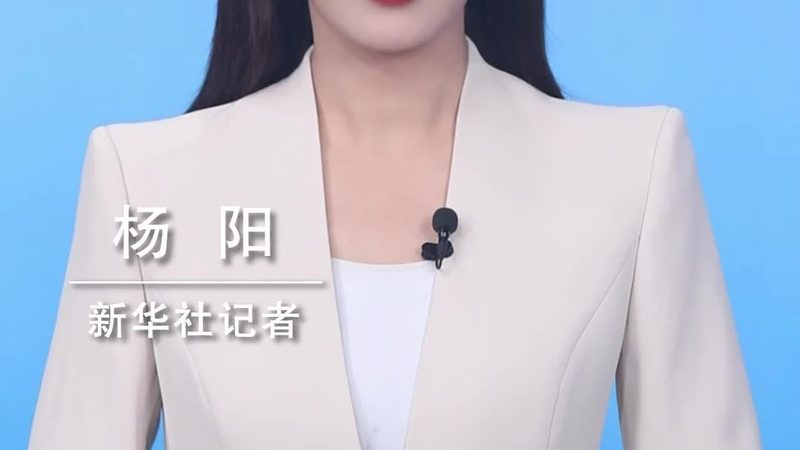 机器学习平台案例解析：优缺点与选型要点